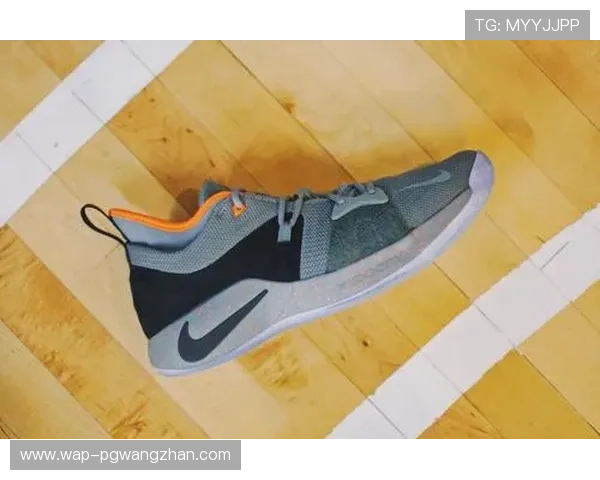 PG2亮灯提示电池需要更换的解决方案，专业指导帮助用户快速完成操作