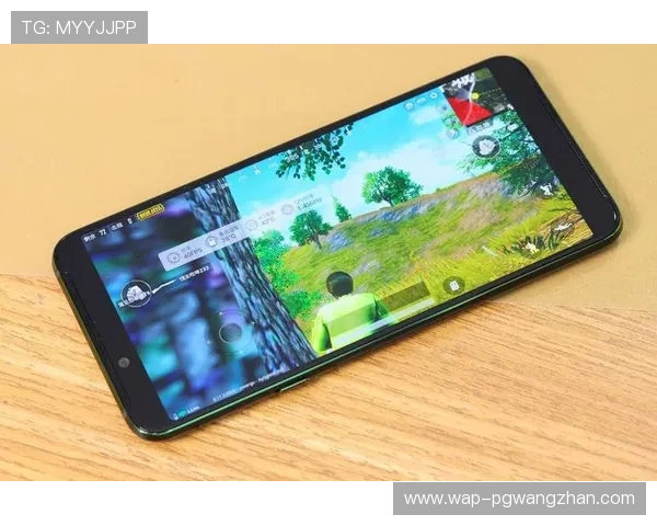 在PG猿宇宙电游网站尽享高品质的线上娱乐与极致的游戏体验