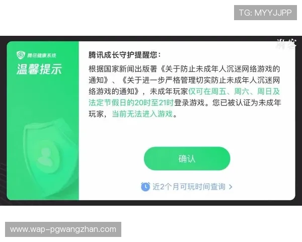 PG电游戏安全指南与防沉迷措施详细介绍保障玩家健康体验